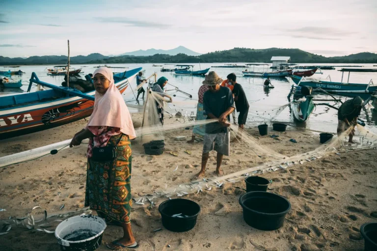 On the Quiet Persistence of Island Life