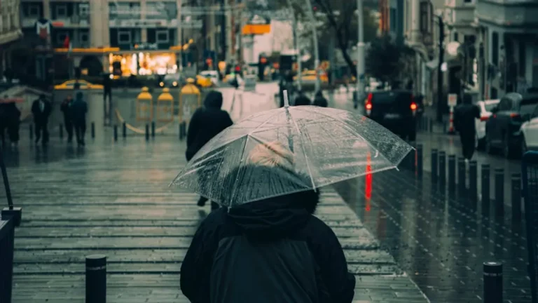 How Weather and Public Alerts Drive Local News Traffic